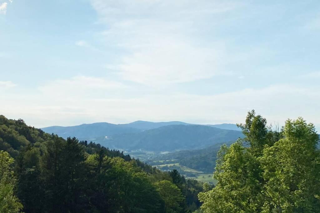 Mitten Im Bayerischen Wald + Schonblick + Urig + Netflix Schöfweg Exterior foto